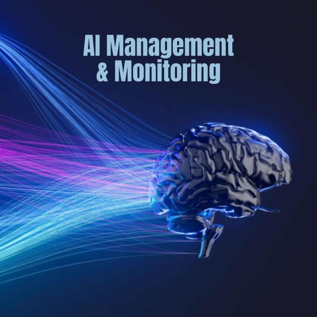 AI Management and Monitoring 1 AI Management and Monitoring